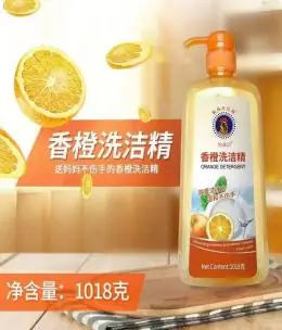 Dishwashing Liquid 1018g