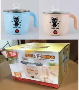 Electric Cooking Pot