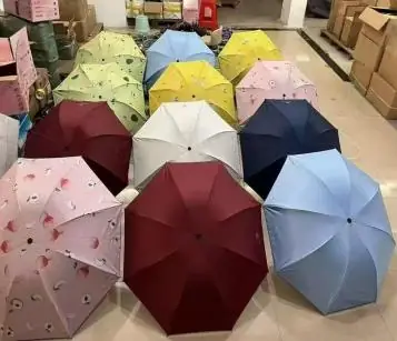 Automatic Umbrella