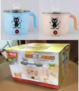 Electric Cooking Pot