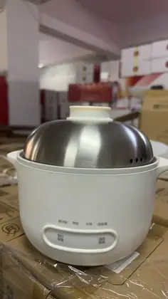 Electric Casserole Cooker (Baozai Pot)